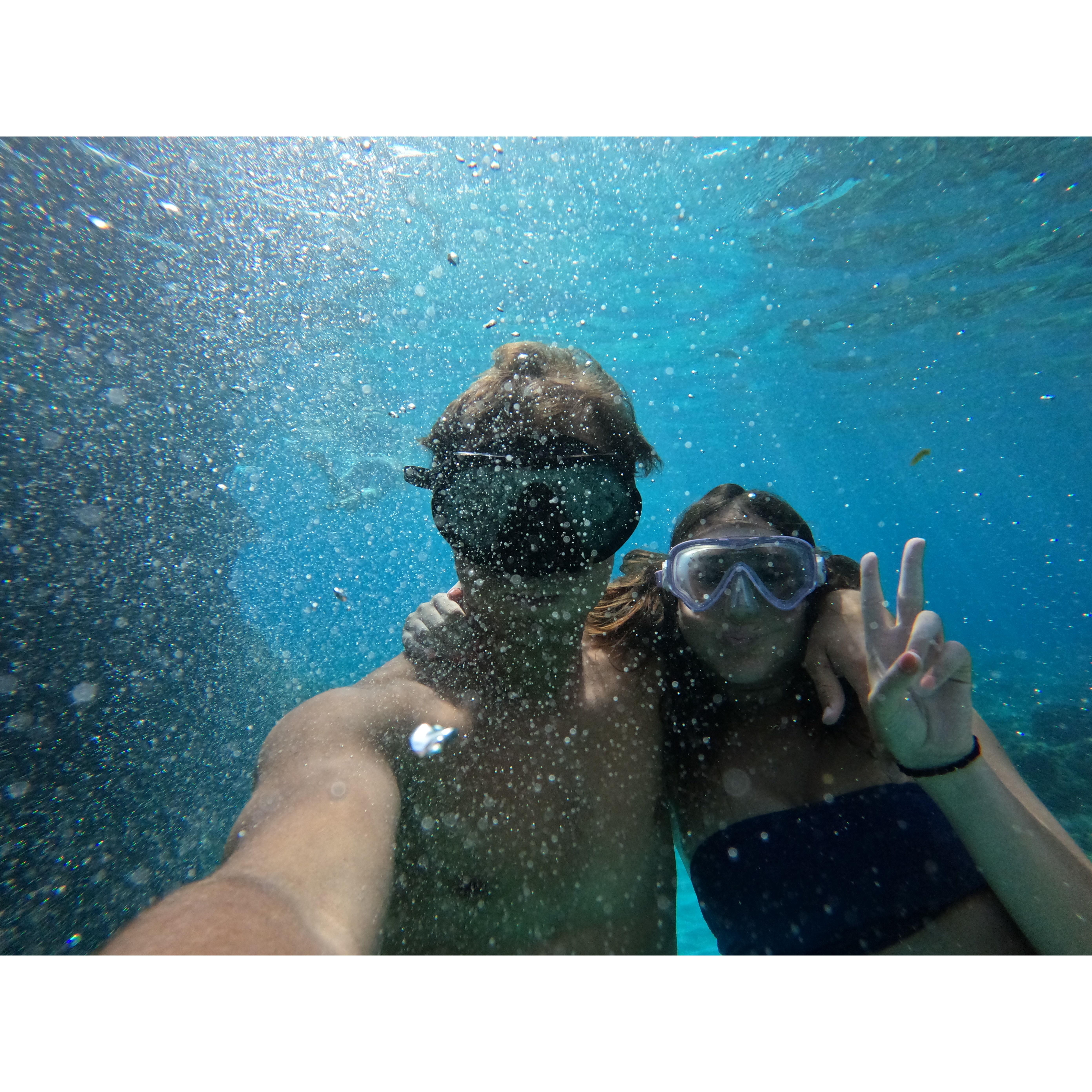 Snorkel Time!