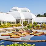 New York Botanical Garden