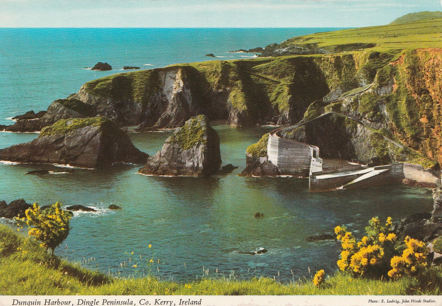 The Wedding Website of Abigail Chalmers and Pierre O'Driscoll