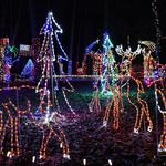 Christmas Magic 'A Festival Of Lights'