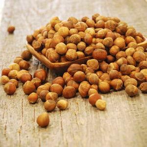 Hazelnut Bushes