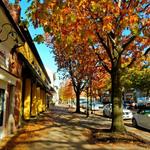 Haddonfield