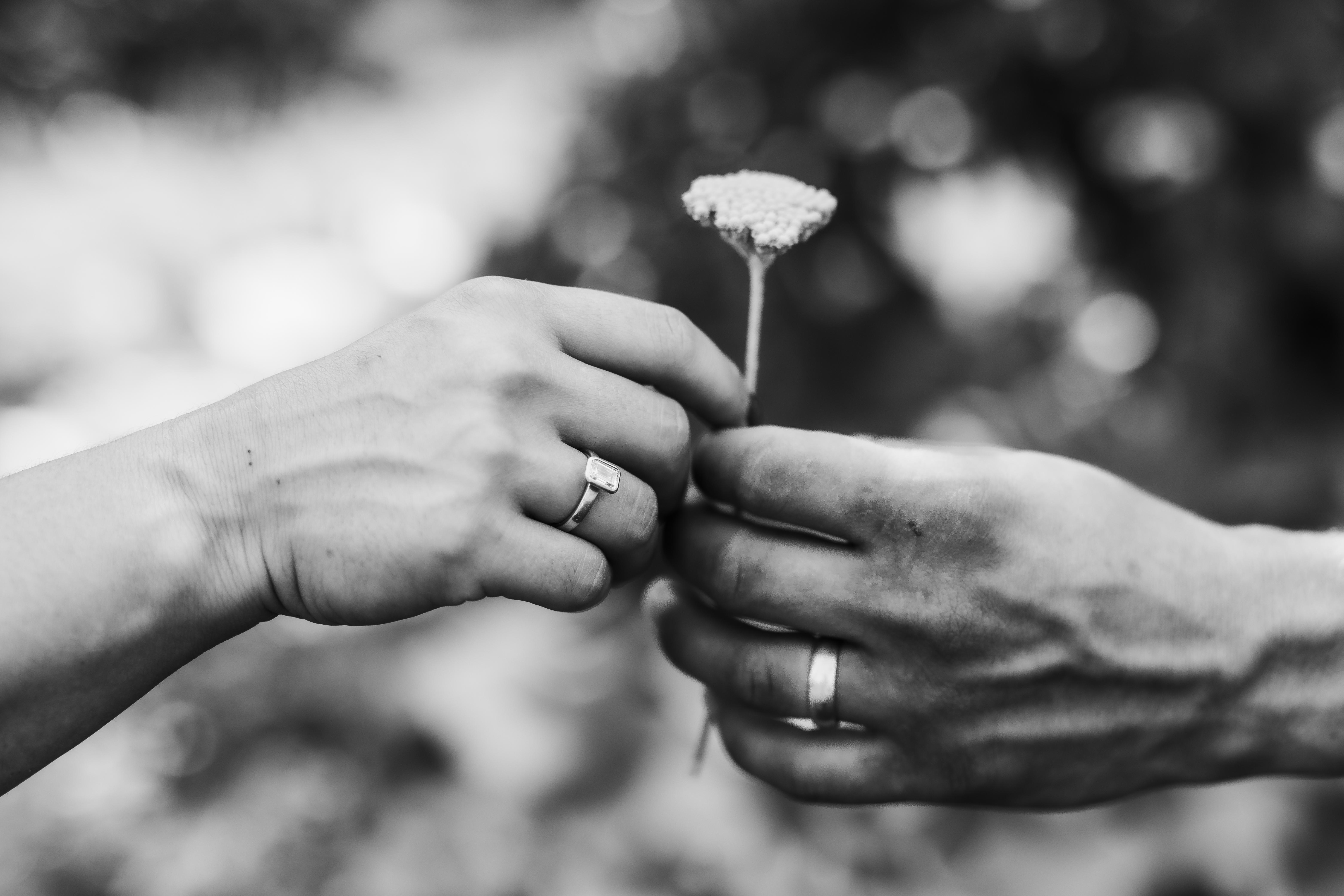 The Wedding Website of Paige Nicole S Bogdanoff and Aaron Evan Bogdanoff
