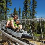 Lost Forest at Elk Camp