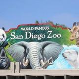 San Diego Zoo