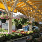 Roanoke City Market