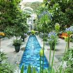 United States Botanic Garden