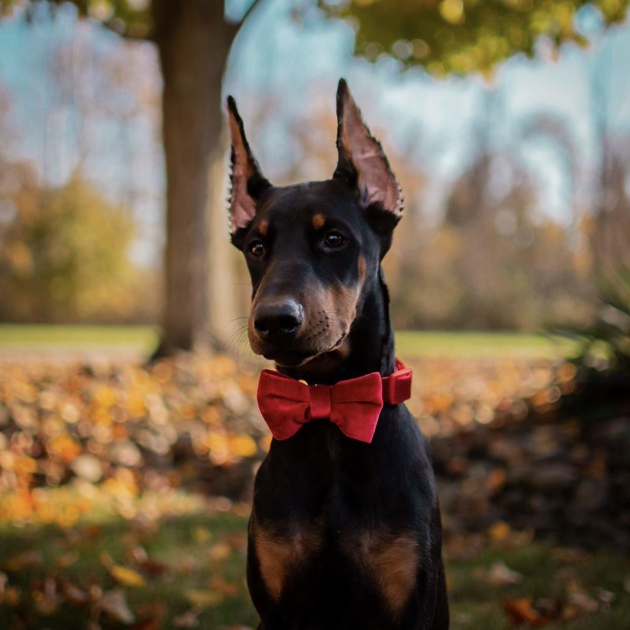 REMI