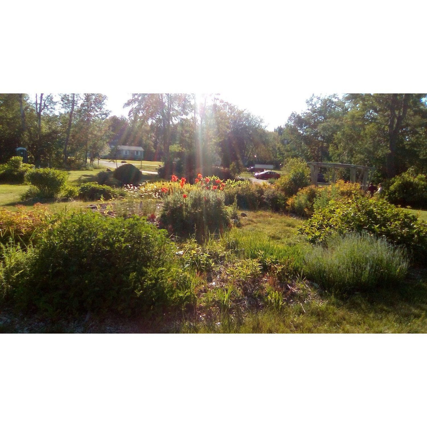 Ecotat Gardens 06/21/22