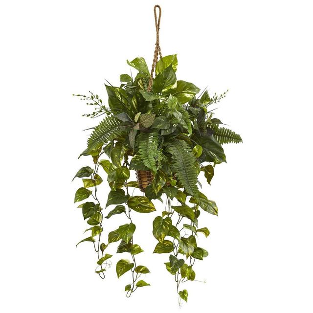 46" x 28" Artificial Mixed Pothos and Boston Fern in Hanging Basket Green - Nearly Natural
