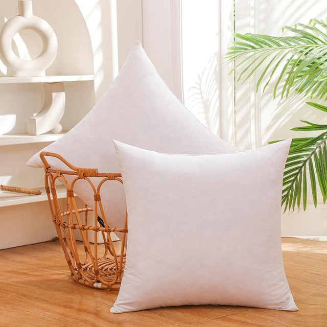 LBOEVDE 20x20 Inch Gold Goose Down and Feather Throw Pillow Inserts-2 Packs,White,Super Soft Cover,Double Layer Dwon Proof Design,High Filling Weight.