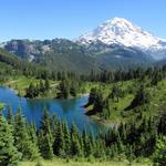 Mt. Rainier National Park