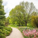 University of Kentucky Arboretum