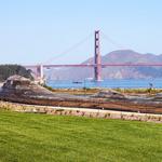 Presidio Tunnel Tops