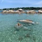 Wingaersheek Beach