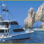 Cabo San Lucas Fishing Charters