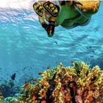 Snorkeling Excursion to Ana’s Cochon!