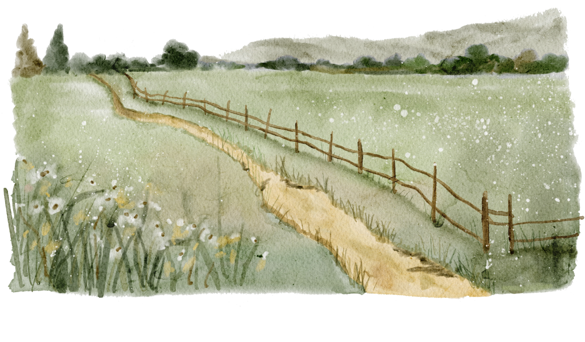 Footer image