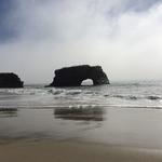 Natural Bridges State Beach