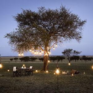 Romantic Bush Dinner for Two