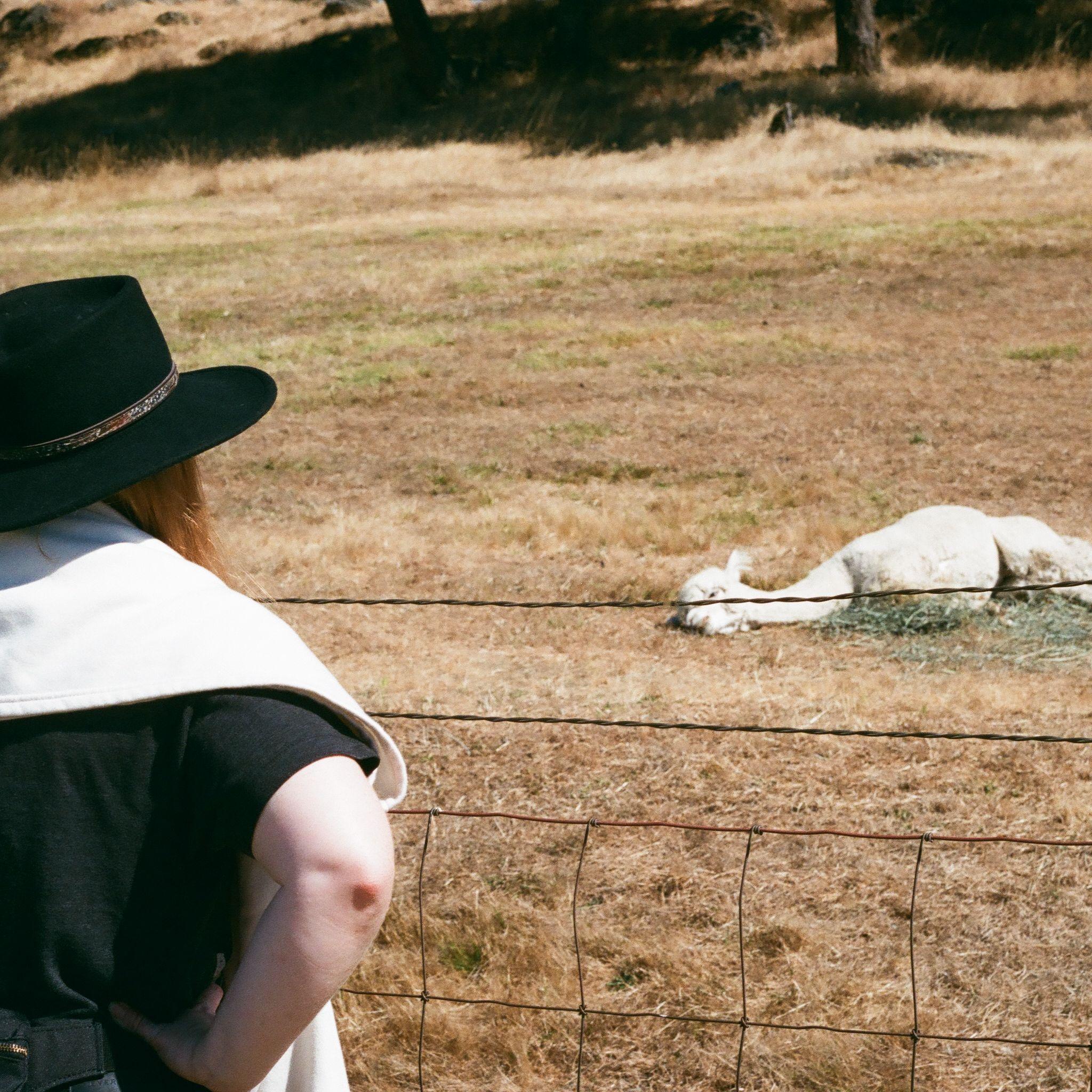 Amanda, concerned for an alpaca.