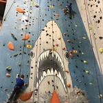 City Rock Climbing Gym and The Ute and Yeti Pub