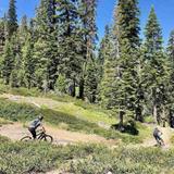 Mountain biking