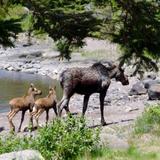 Isle Royale National Park