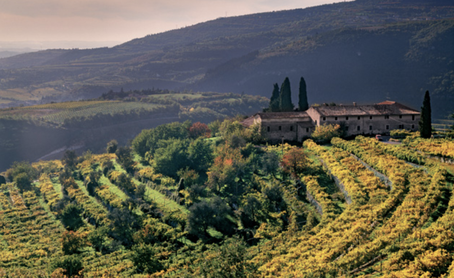The Wedding Website of Martina Filippi and Adrian Millén