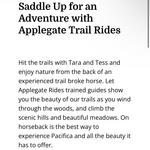 Horseback Trail Rides