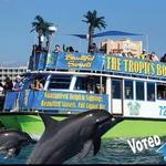 The Tropics Boat Tours