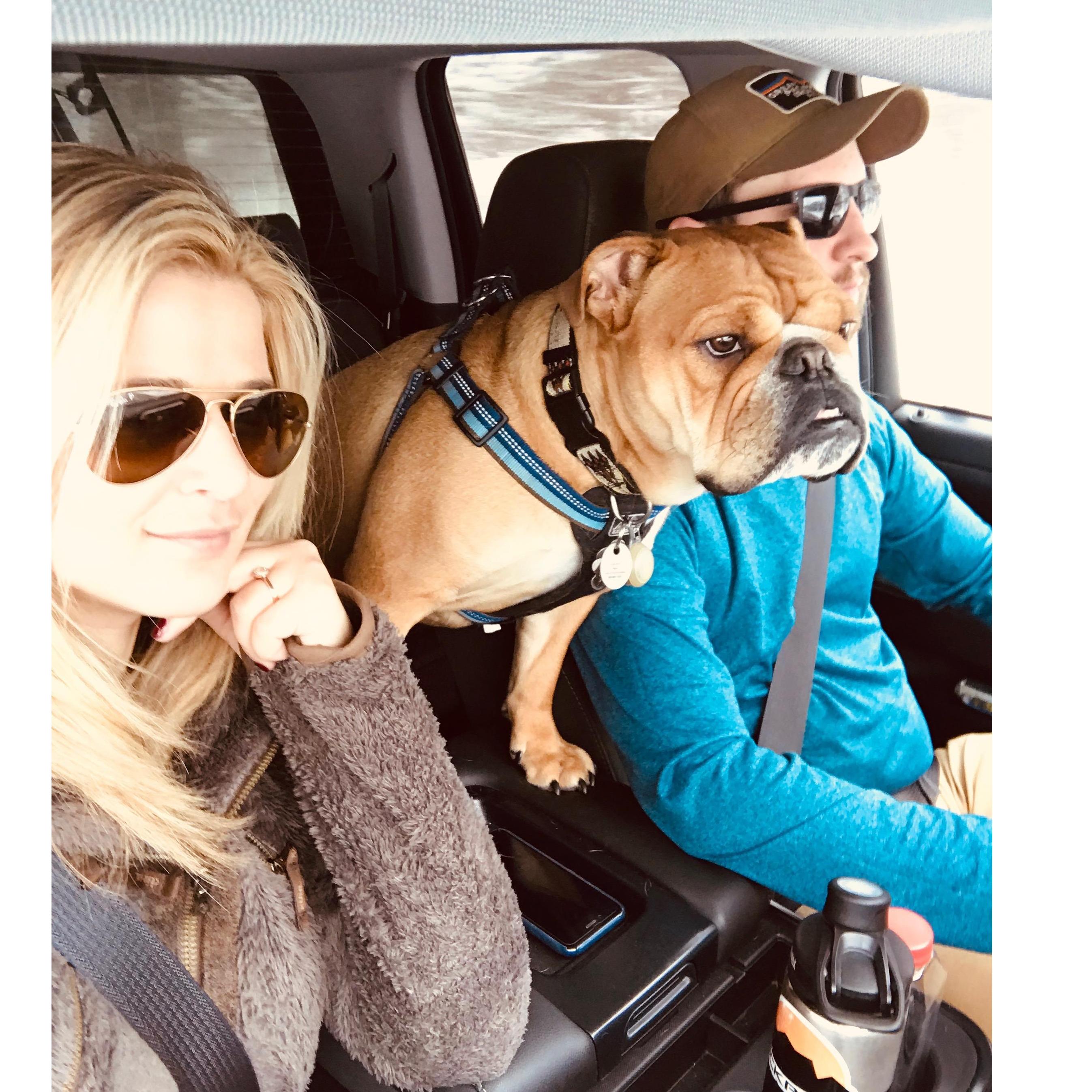 Road Trip North