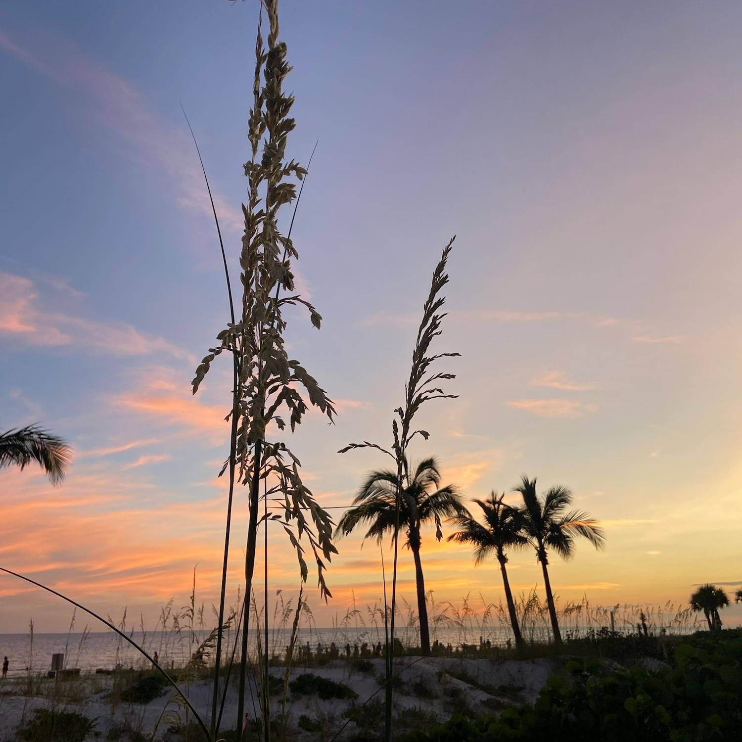 Those Florida views