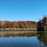Maybury State Park