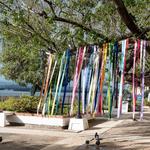 Parque de las Palomas