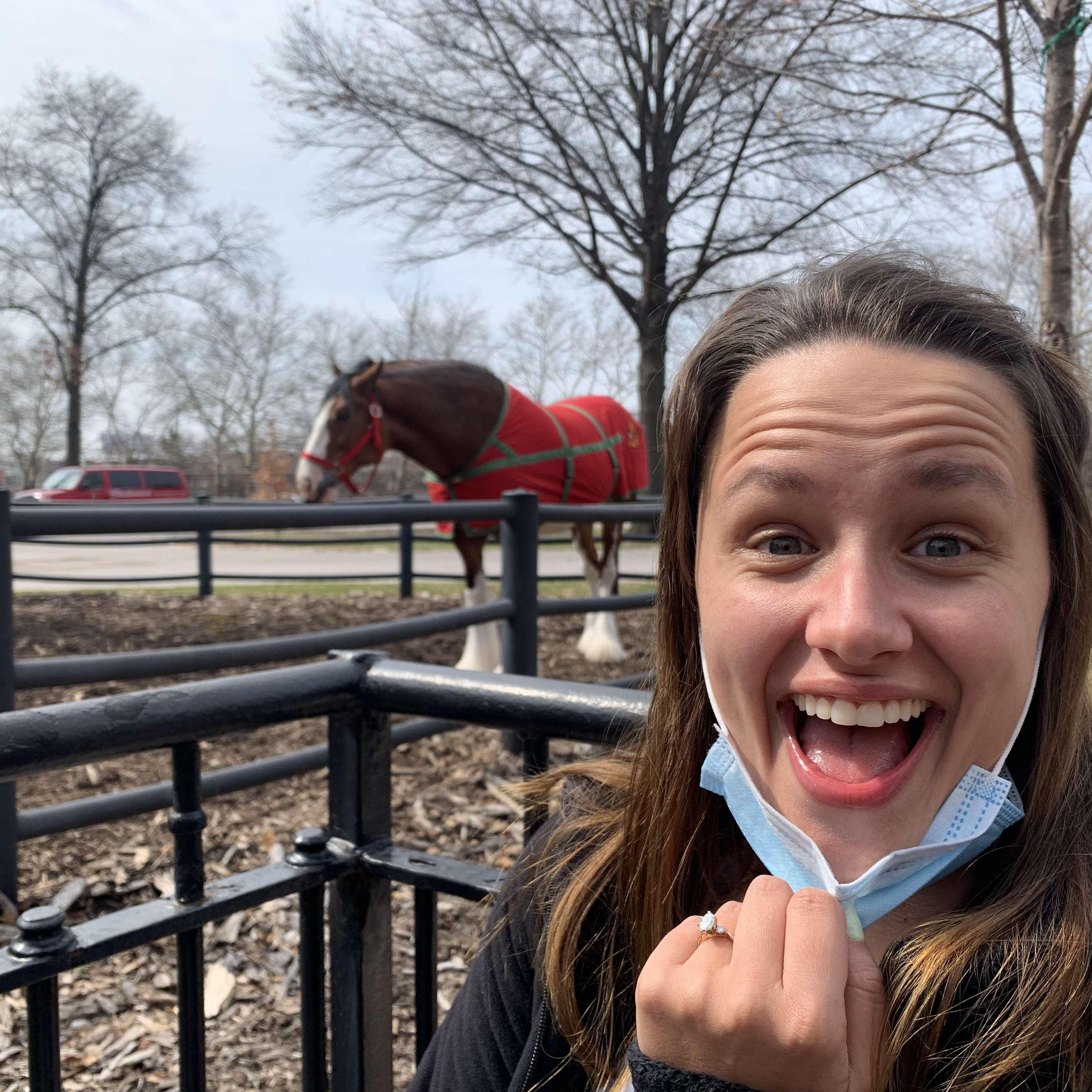 Allie and a Clydesdale - GO CARDS!