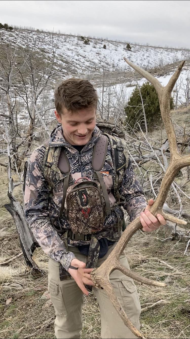 Spring elk shed hunting