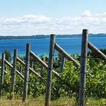 Leelanau Peninsula Wine Trail