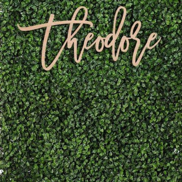 Large Custom Name Sign Backdrop, Name Wood Sign, Personalized Backdrop Name Sign, Personalized Name Cutout, Wedding Backdrop Baby Shower