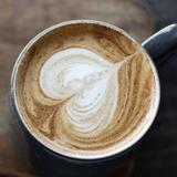 The Muse Coffee Company