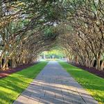 The Dallas Arboretum and Botanical Garden