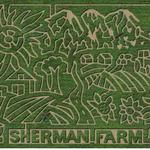 Sherman Farm Corn Maize