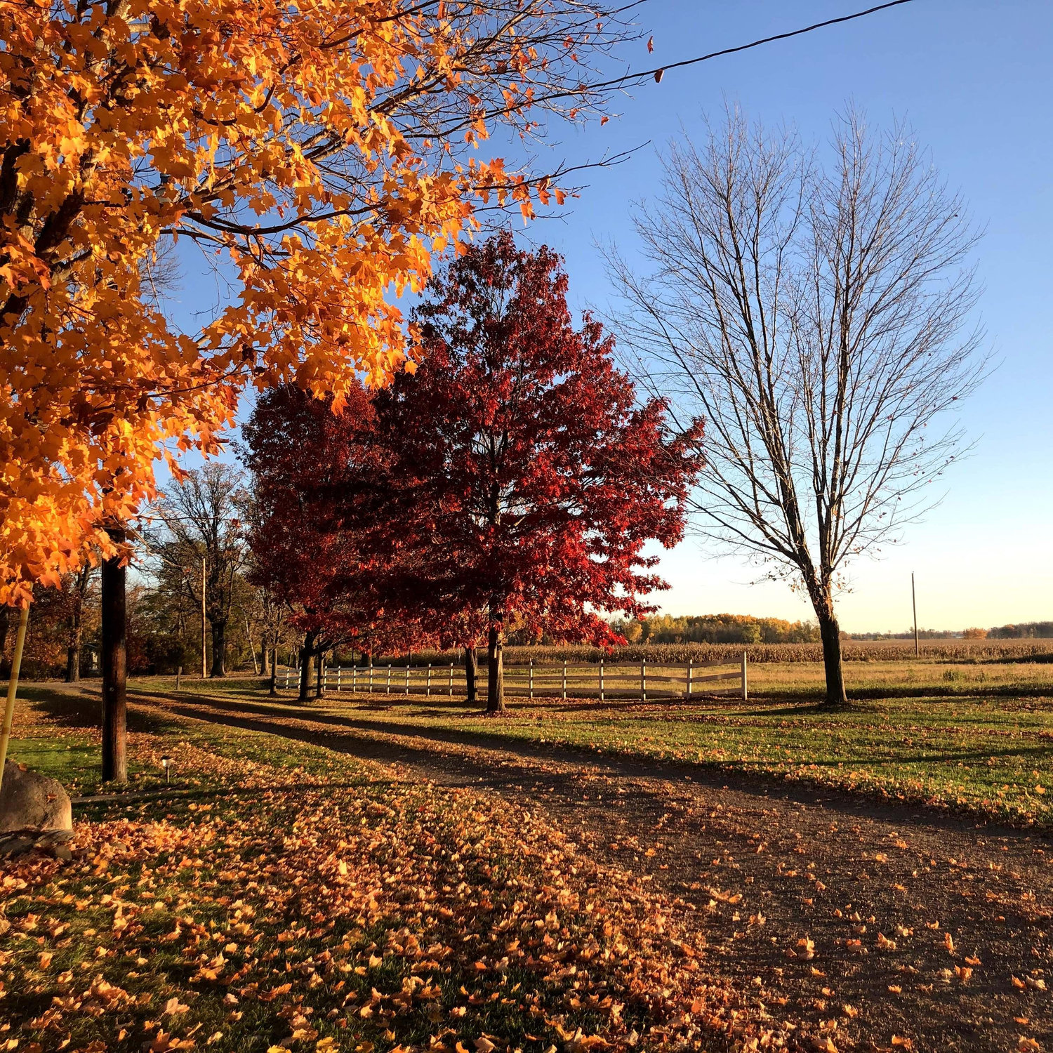 One of the MANY reason's why we love where we live!