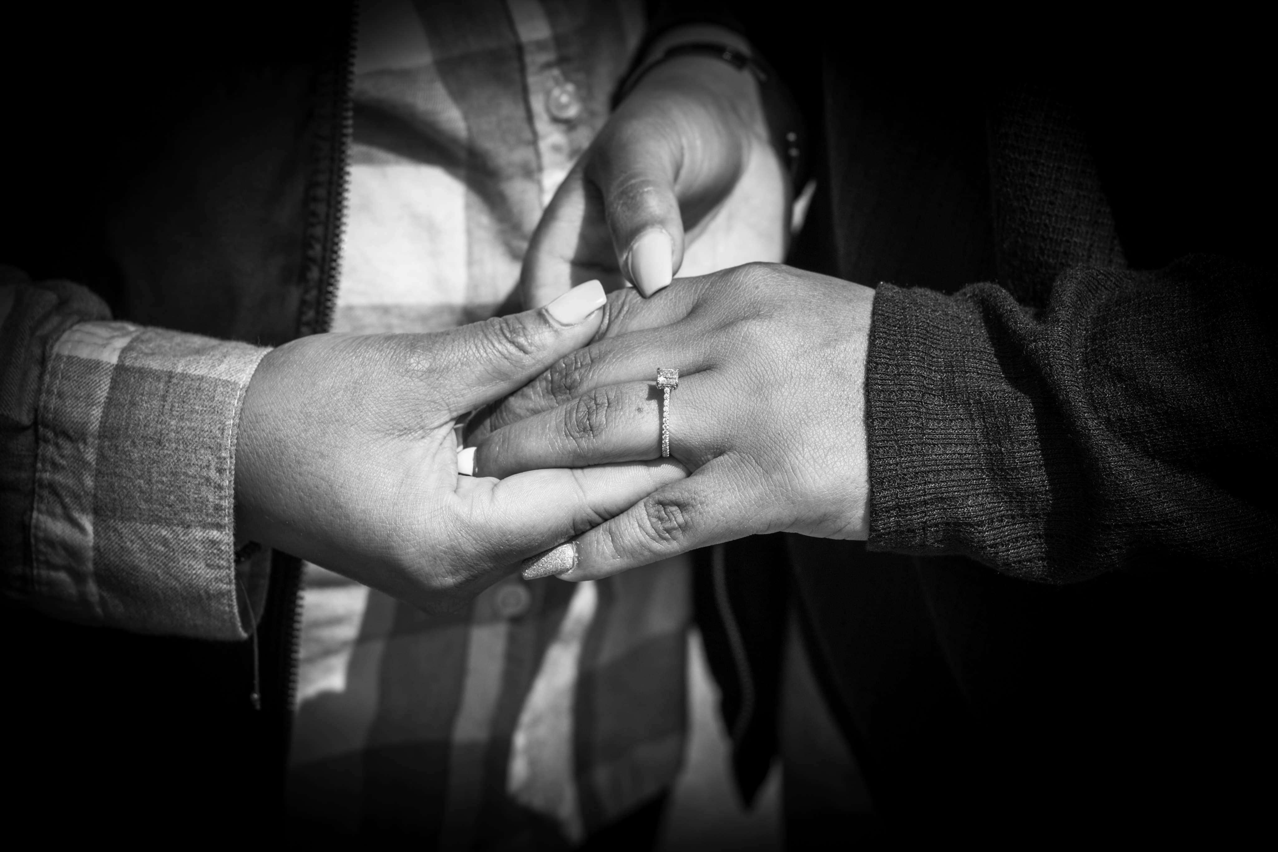 The Wedding Website of Alina Steele and Natalie Villaplana