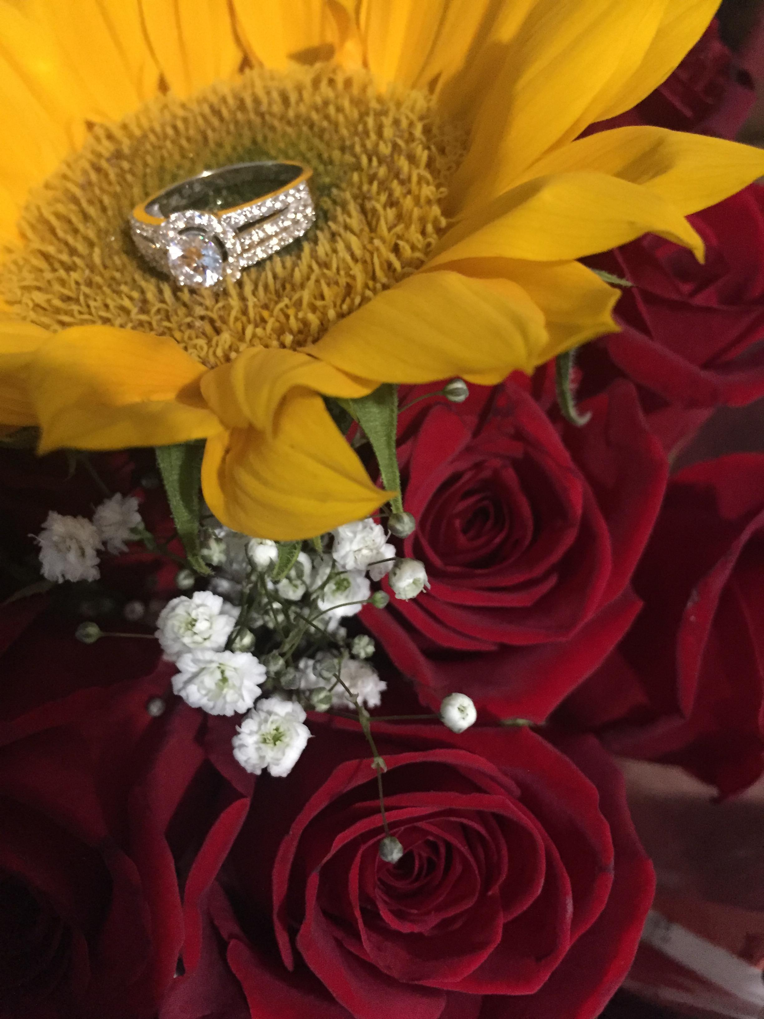 The Wedding Website of Sierra Cress and Jimmie Conley