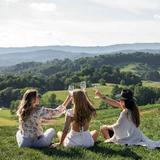 Villa Nove Vineyards