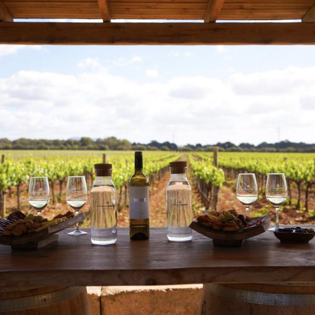 Wine Tasting Tour