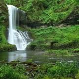 Silver Falls State Park
