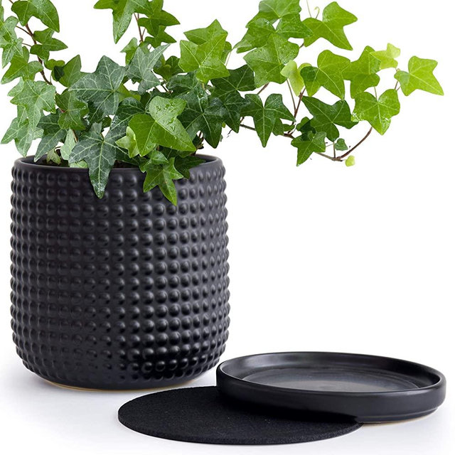 6 Inch Beaded Stoneware Planter Pot with Drainage Hole and Saucer, Matte Black
