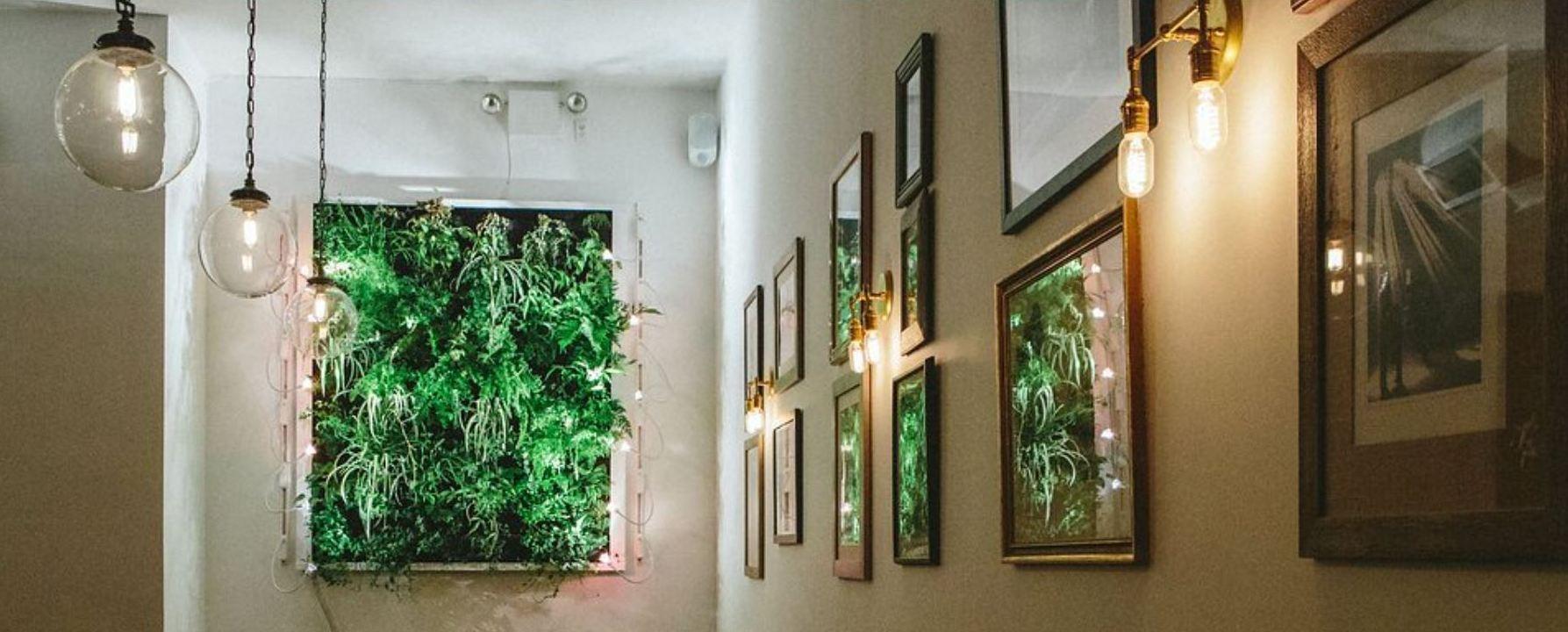 The Wedding Website of Klaire Nam and David Han